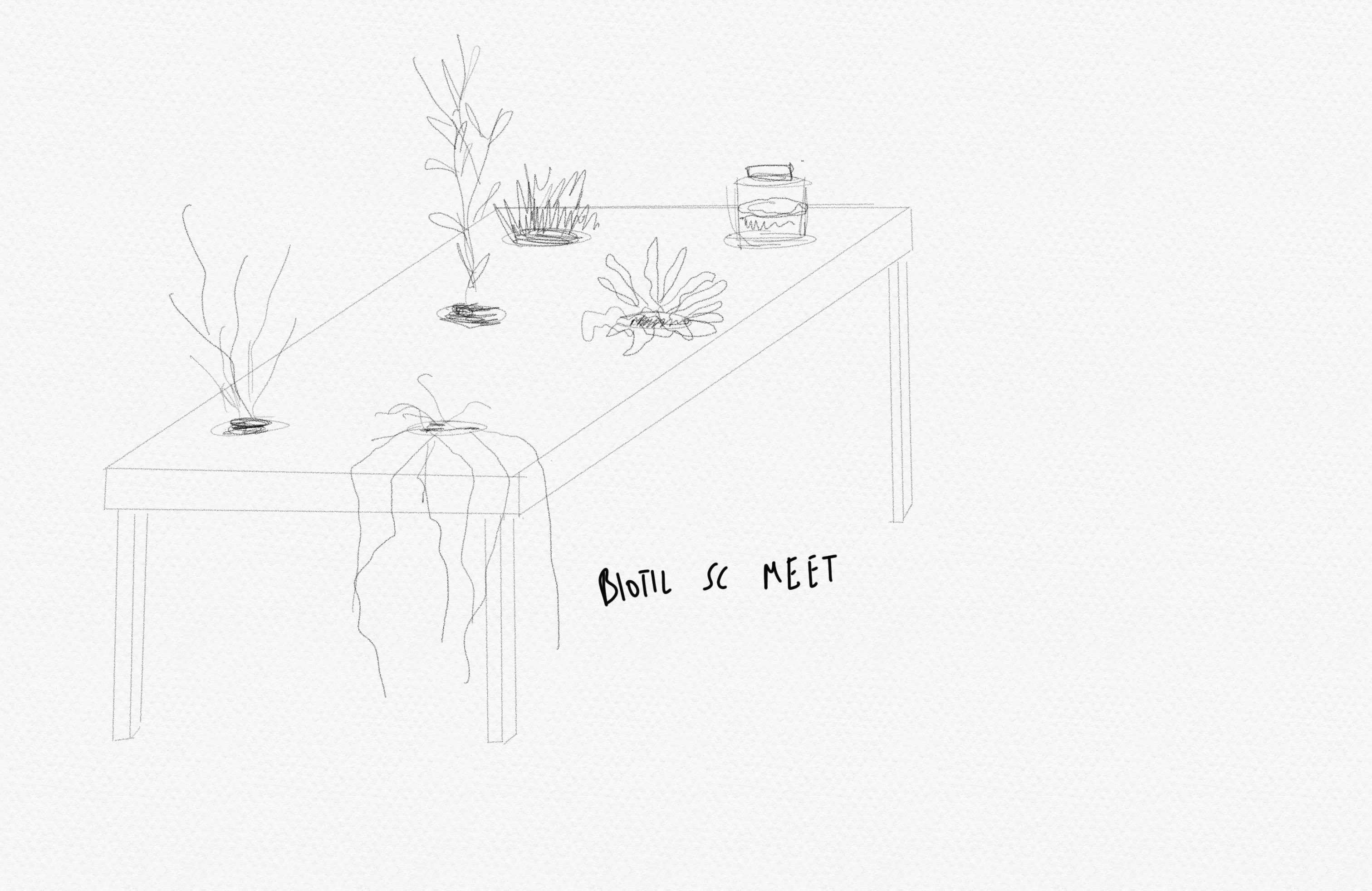 mindmap exercise